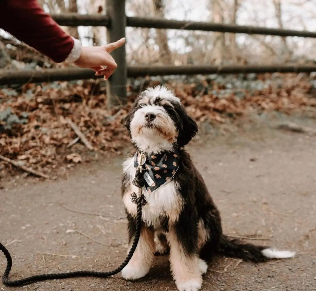 ROPE LEASH - NOIR Pawsome Pets New York® Official Site