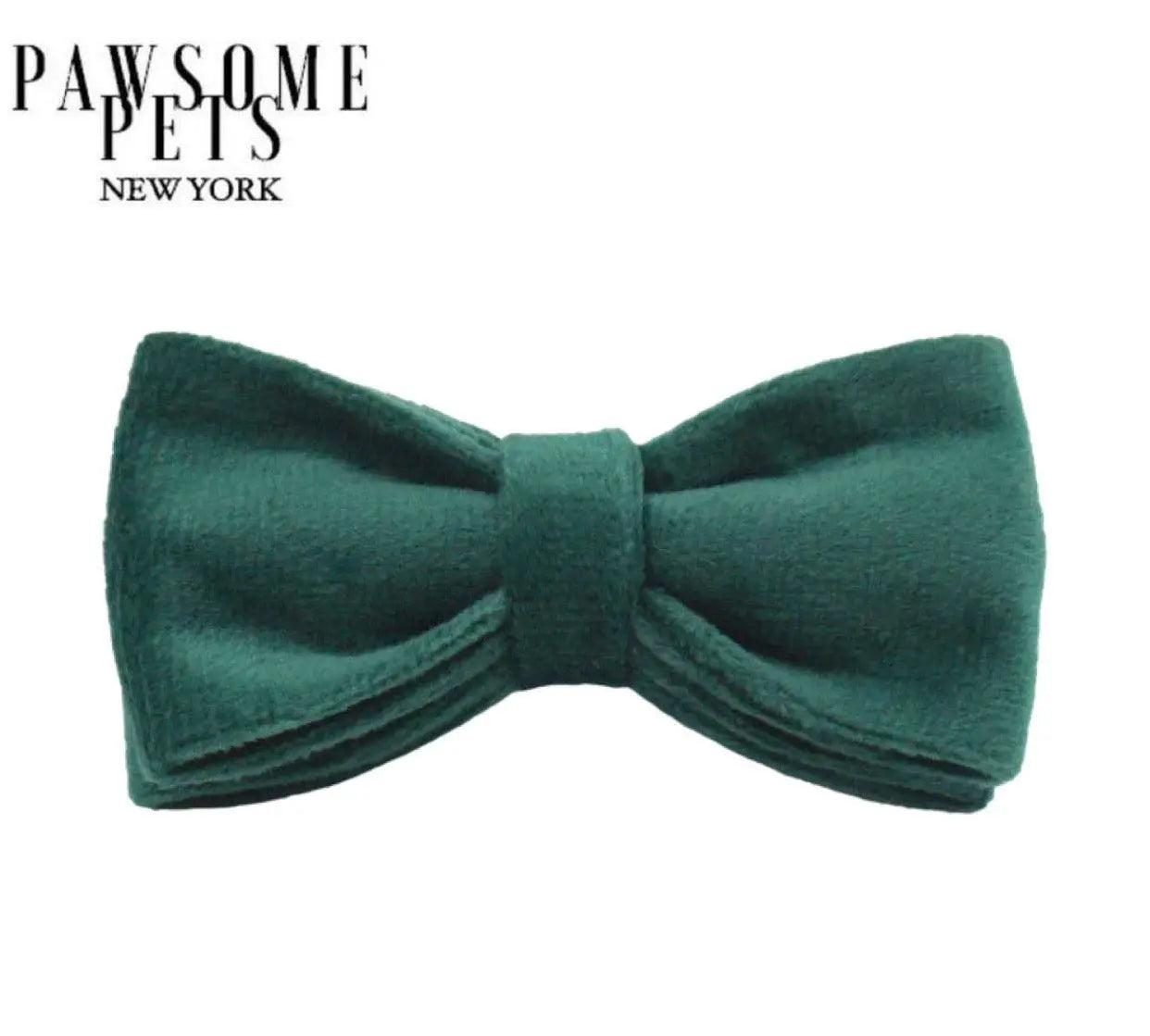 BOWTIE - VIRIDIAN PAWSOME PETS