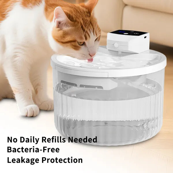 Smart Tech — water fountains and gadgets
