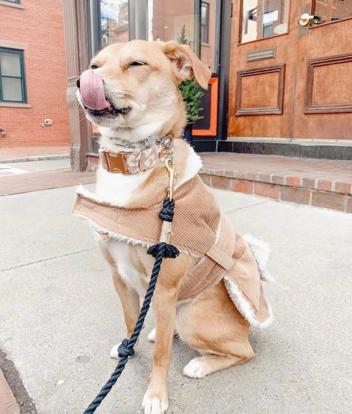 ROPE LEASH - NOIR Pawsome Pets New York® Official Site