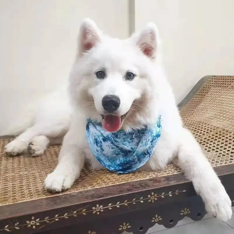 BANDANA - OCEAN BLUE PAWSOME PETS