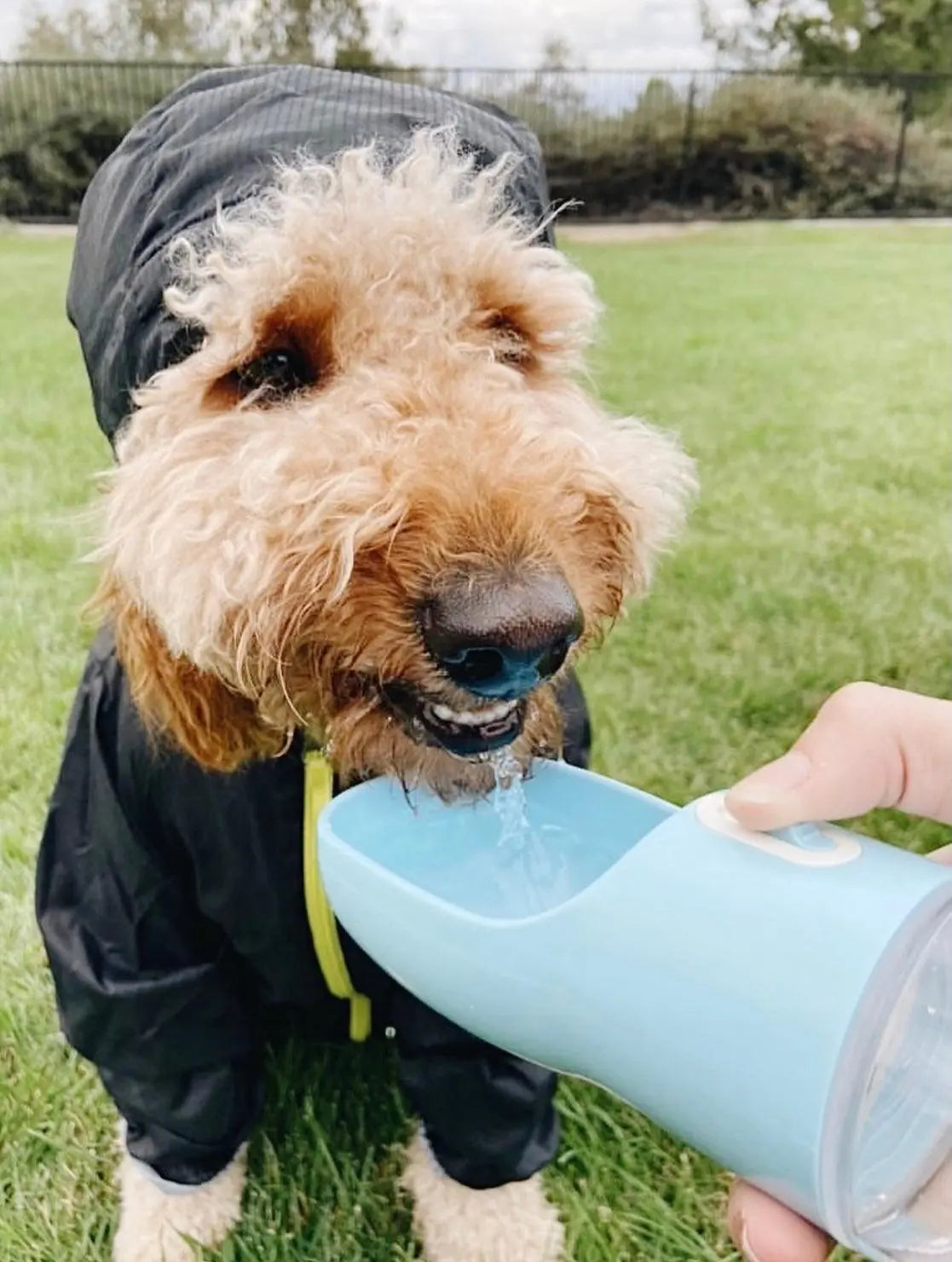 2 IN 1 PORTABLE PET FEEDER - BLUE PAWSOME PETS