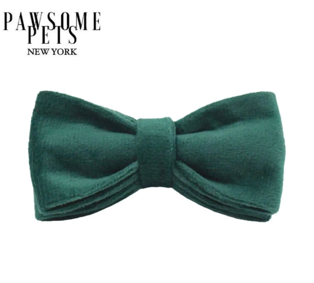BOWTIE - VIRIDIAN PAWSOME PETS
