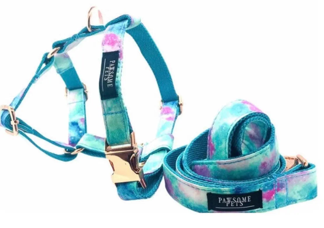 STEP IN BUNDLE - SKY (2 PIECES) PAWSOME PETS