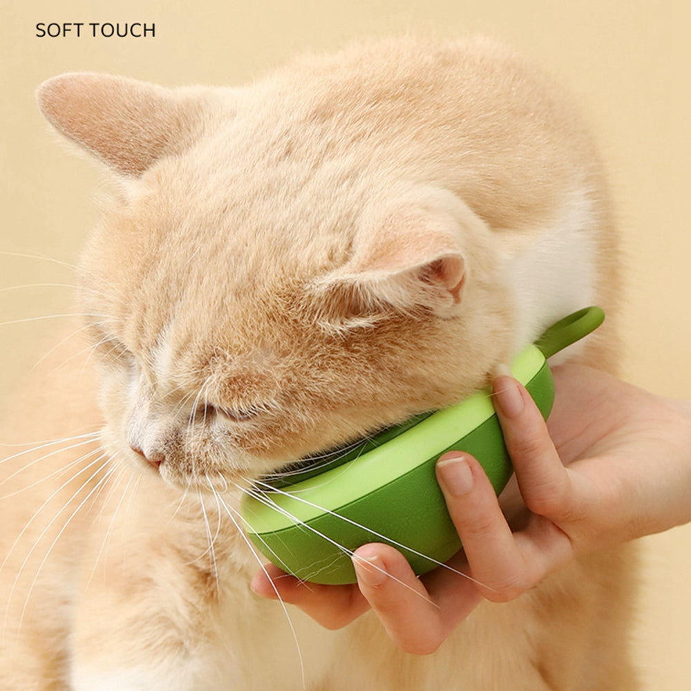 Furralo cat grooming comb soft bristles close-up